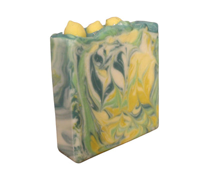 Citrus Splash Soap Bar